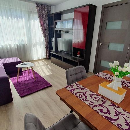 Andrei Apartment 布拉索夫 外观 照片