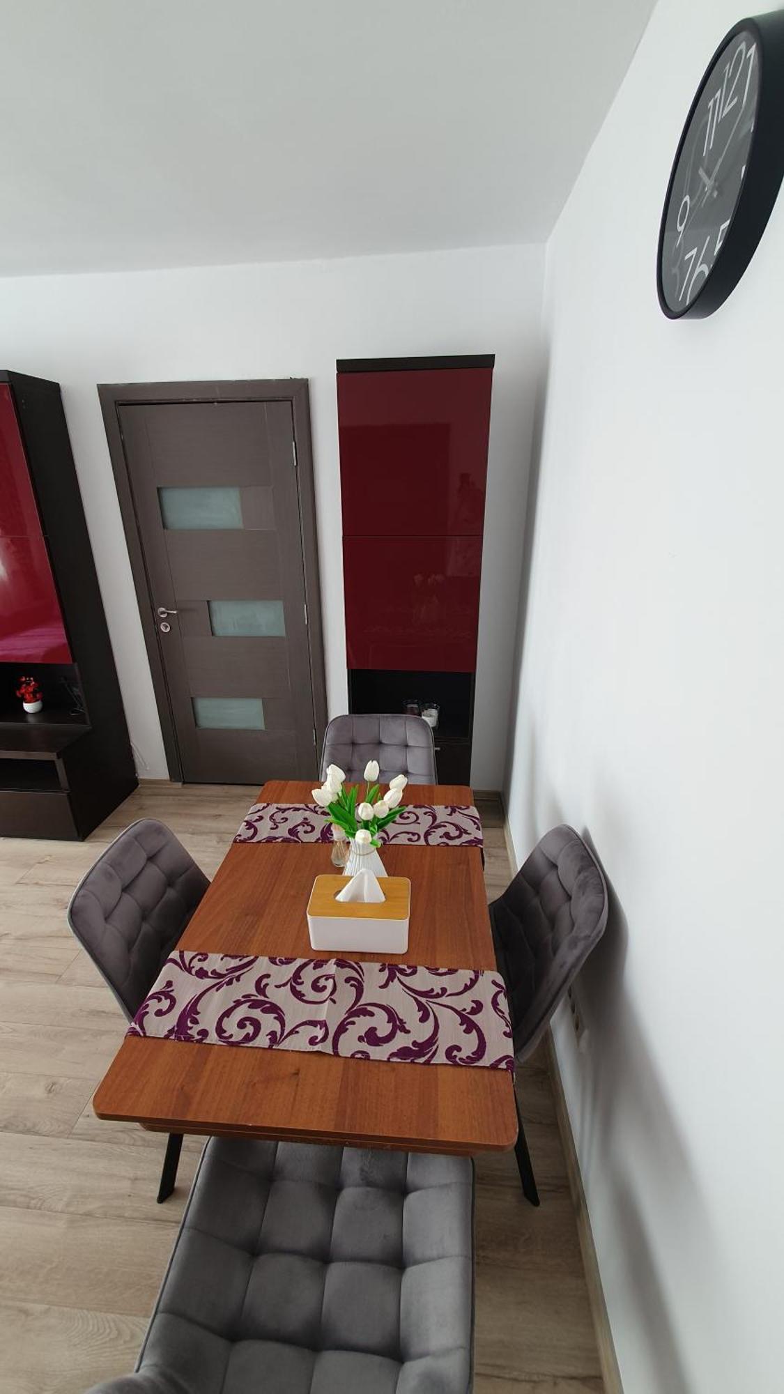 Andrei Apartment 布拉索夫 外观 照片