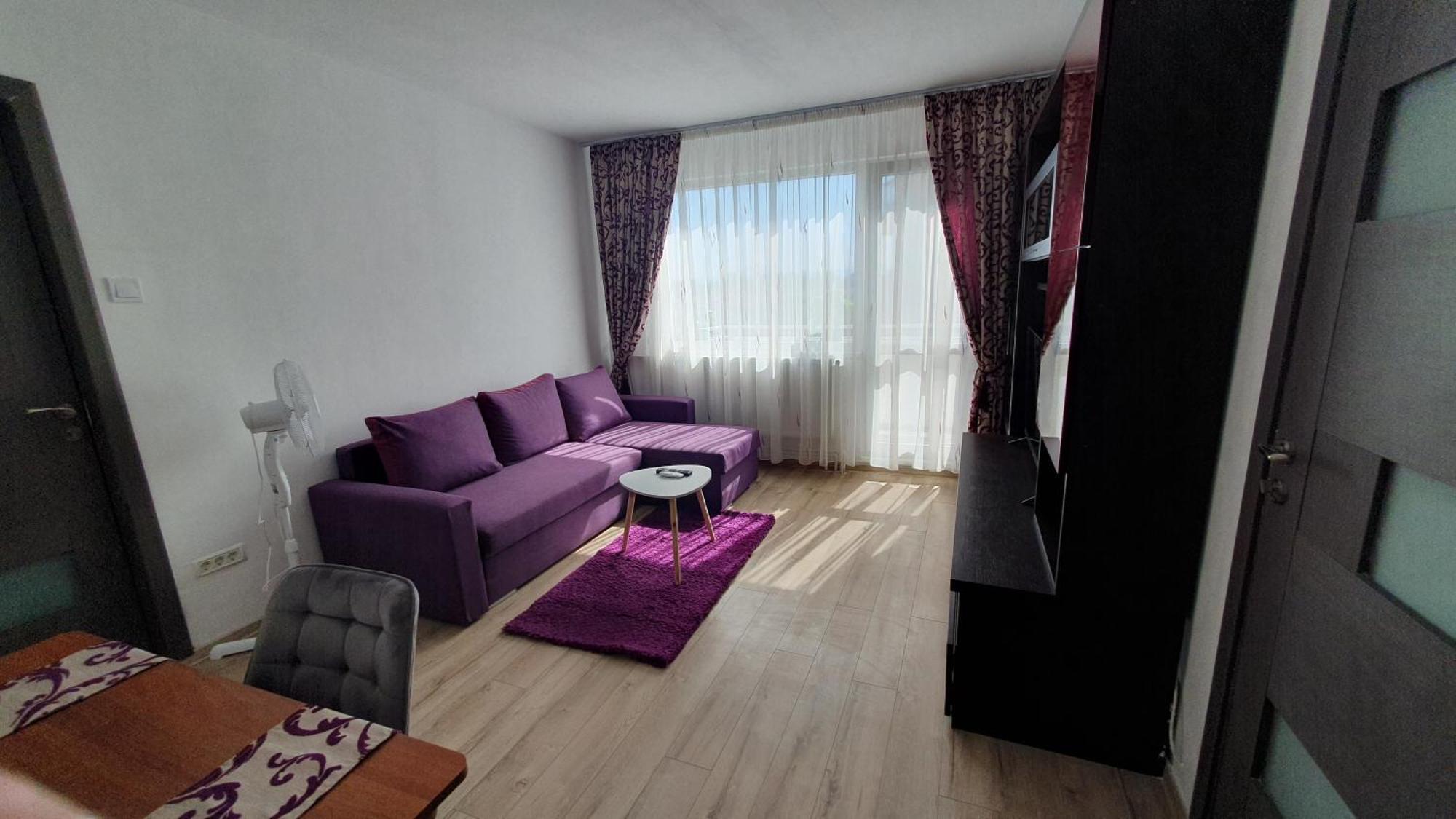 Andrei Apartment 布拉索夫 外观 照片