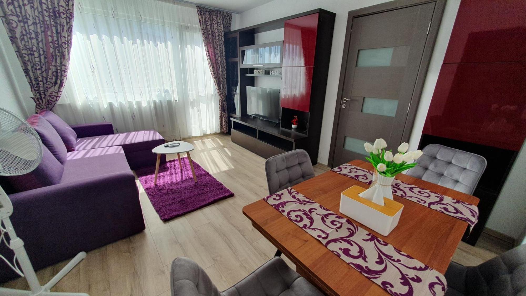 Andrei Apartment 布拉索夫 外观 照片
