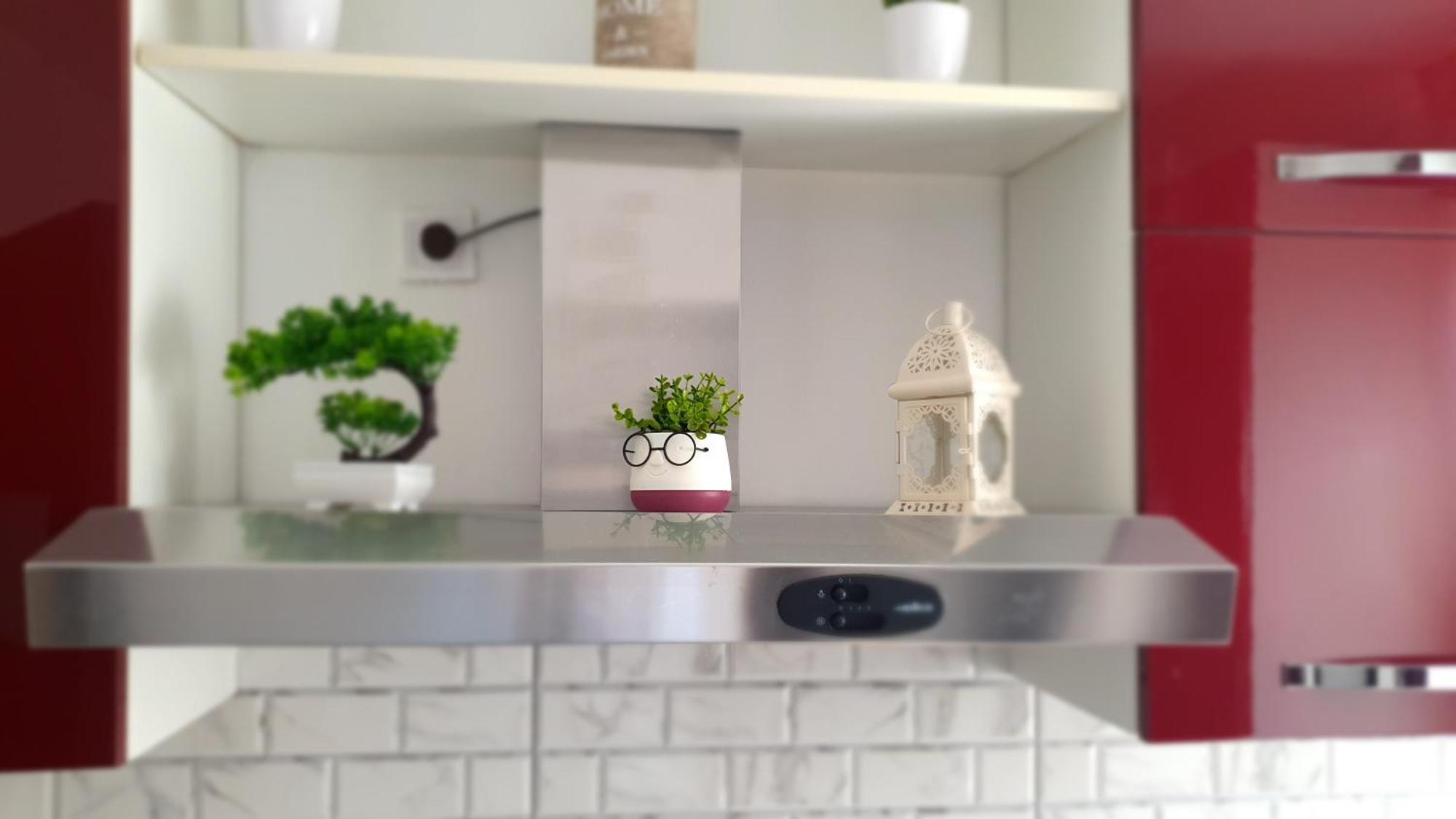 Andrei Apartment 布拉索夫 外观 照片