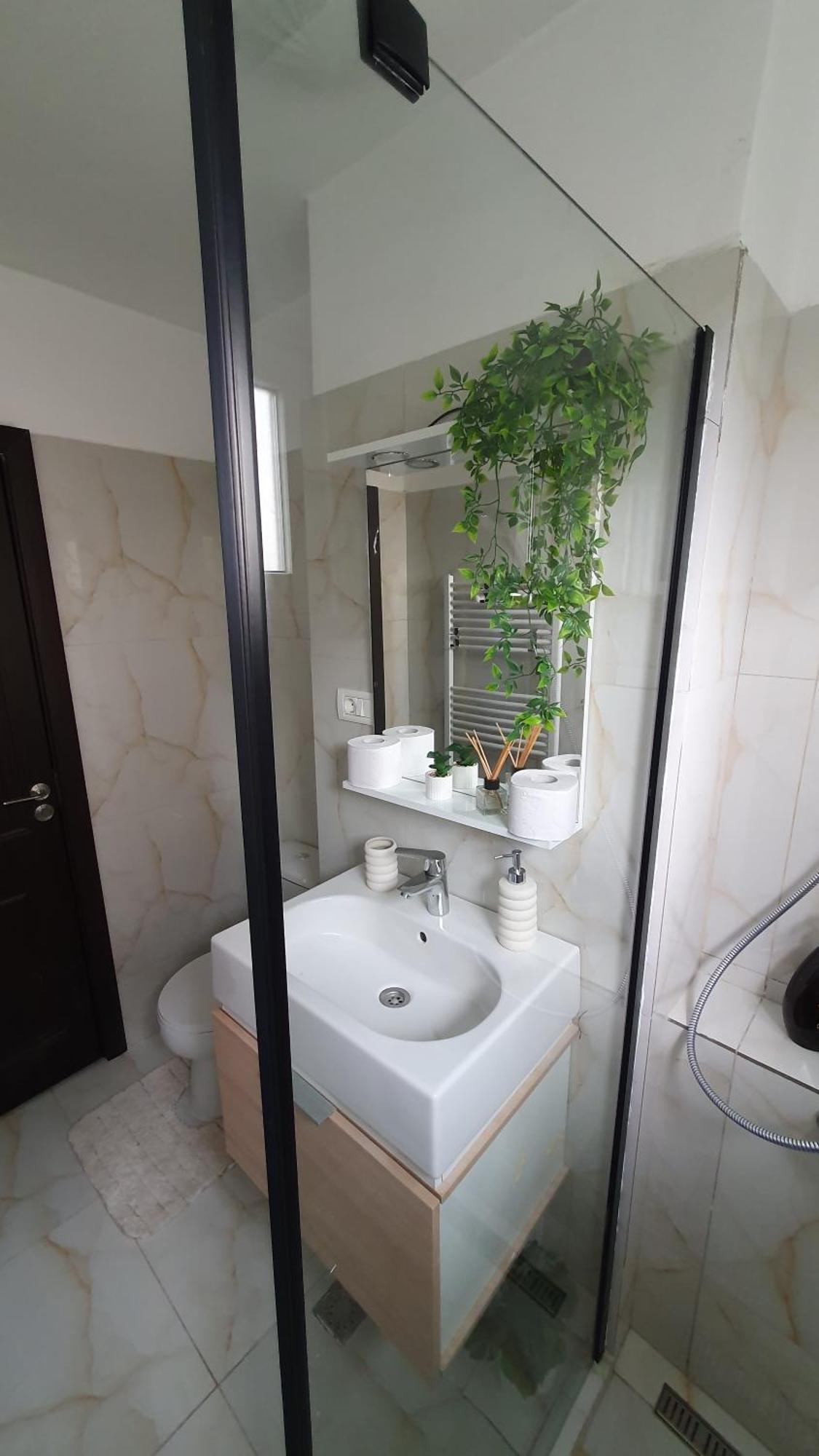 Andrei Apartment 布拉索夫 外观 照片
