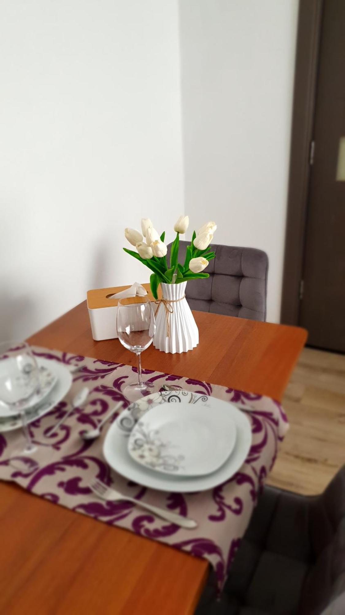 Andrei Apartment 布拉索夫 外观 照片