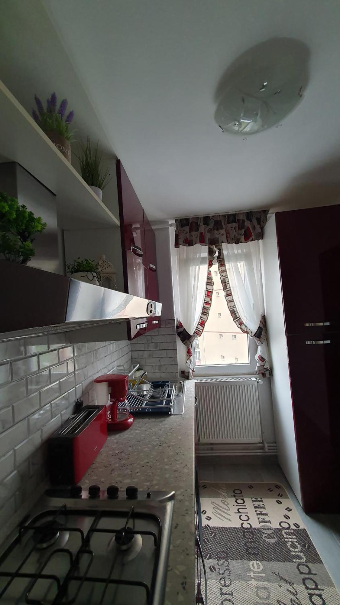 Andrei Apartment 布拉索夫 外观 照片