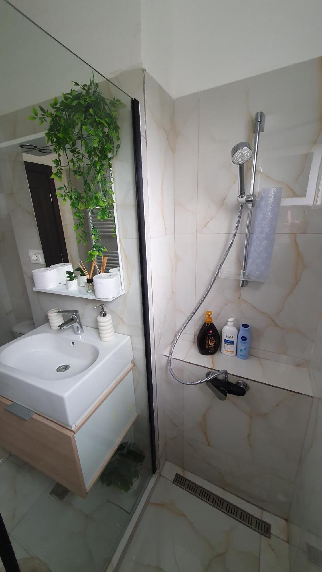Andrei Apartment 布拉索夫 外观 照片