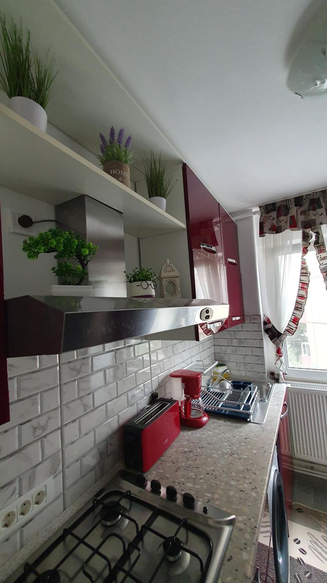 Andrei Apartment 布拉索夫 外观 照片